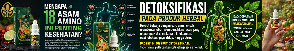 Elcure – Nutrisi Sel & Herbal untuk Kesehatan Tubuh